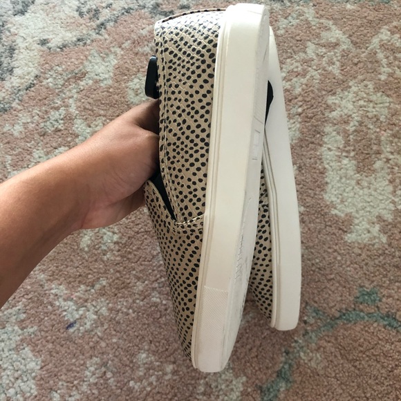 Dotted sneakers - Picture 3 of 3